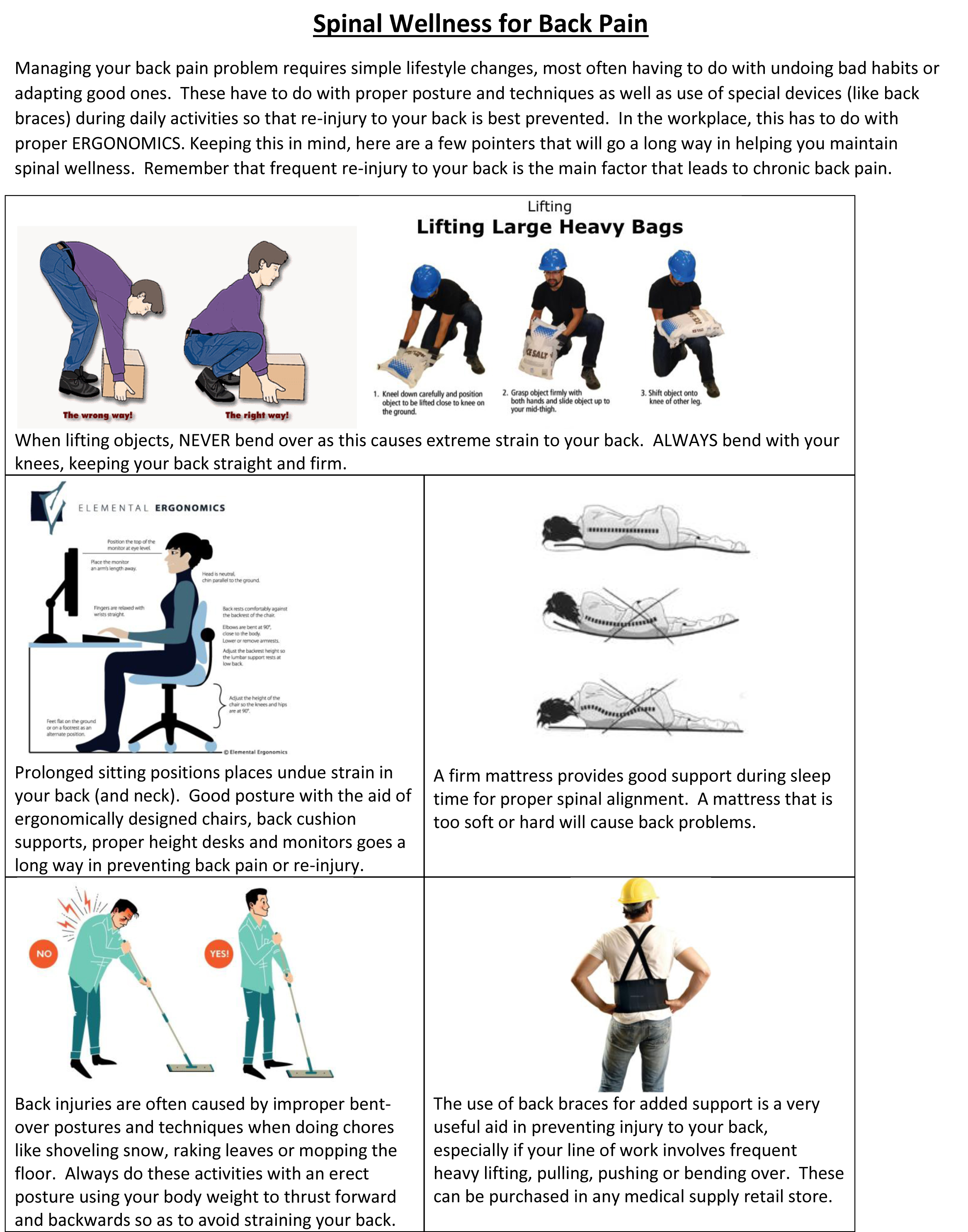 Spinal Wellness for Back Pain Page 2